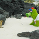 Illustration for article titled A Perfectly Designed Killing Machine, The Phillie Phanatic Silently Stalks Its Prey
